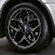   R21 Double Spoke 215 Black () BMW