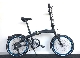   BMW Folding Bike BMW