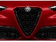   (For Stelvio and Super versions) ALFA ROMEO